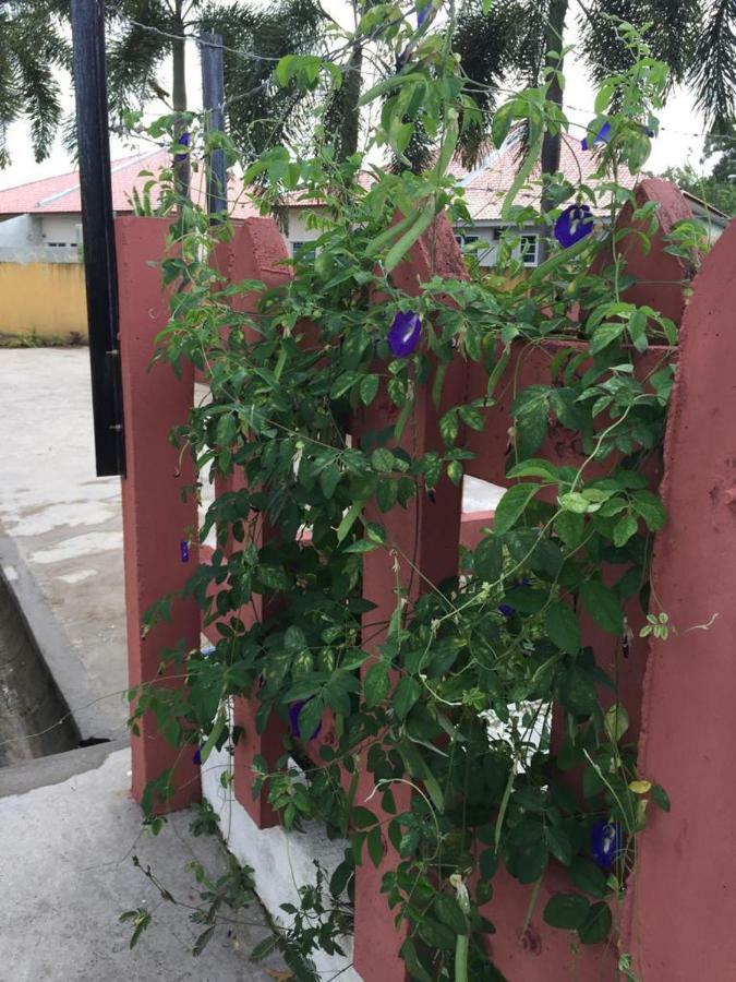 The Garden Vacation Home Lumut Exterior foto