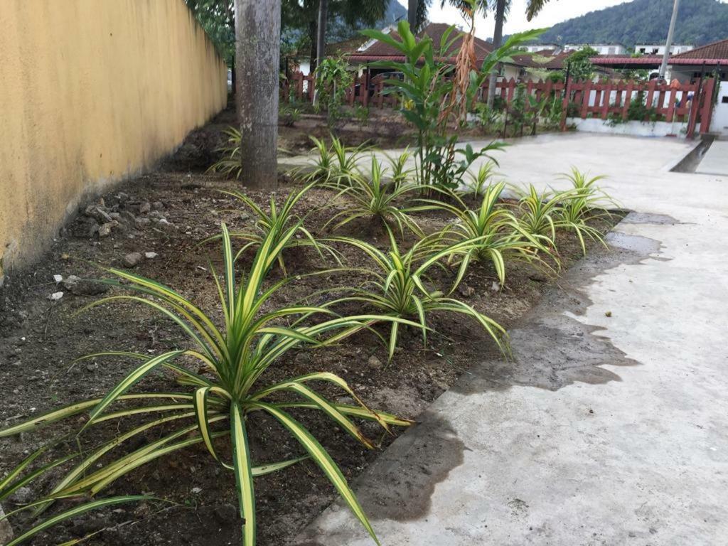 The Garden Vacation Home Lumut Exterior foto